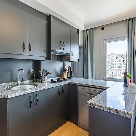 Central And Modern Duplex Apartment In Sisli Διαμέρισμα *