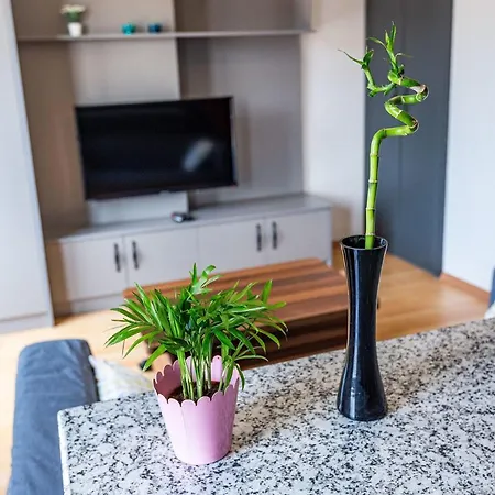 Central And Modern Duplex Apartment In Sisli Apartament Stambuł